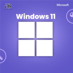 Windows 11